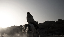 自动化测试覆盖的在线手机号轰炸软件